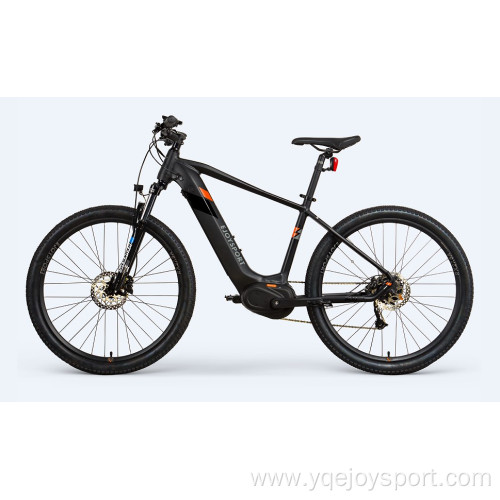 EU Warehouse Electric Mountain Bike